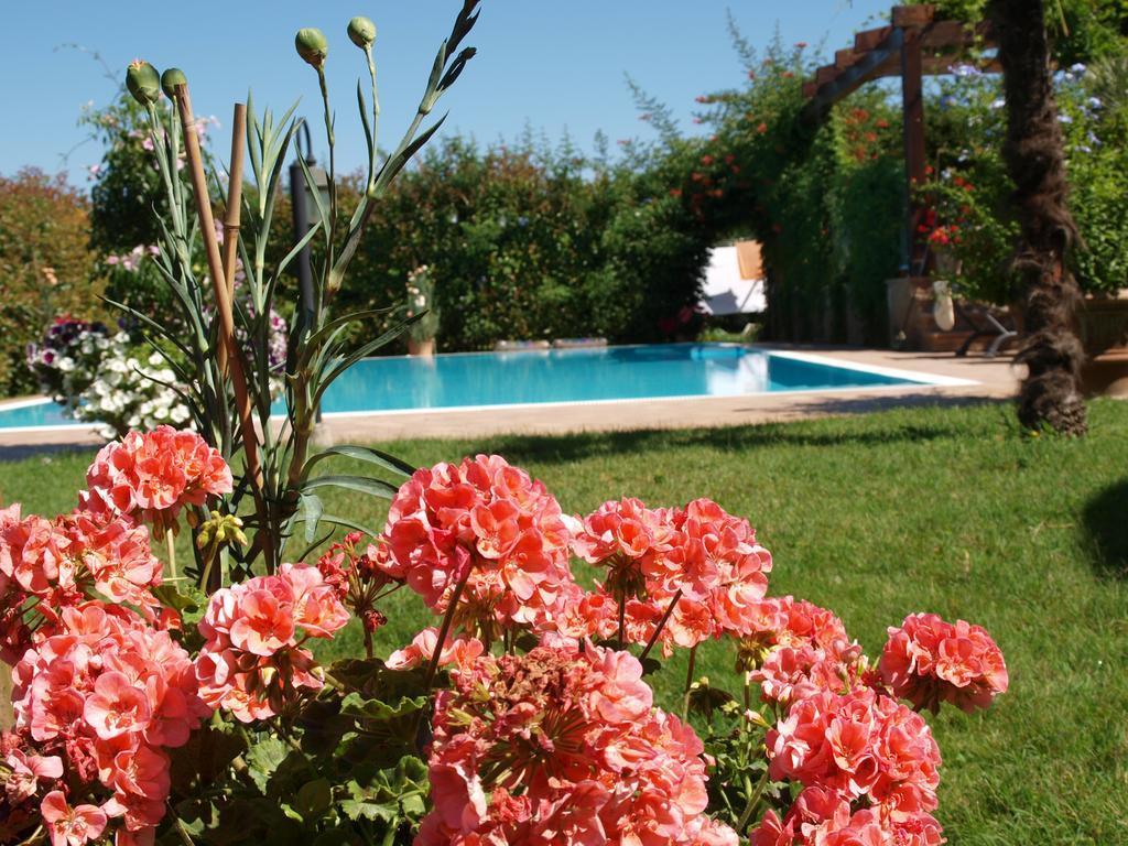 Villa Giusy B&B Cesena Eksteriør billede